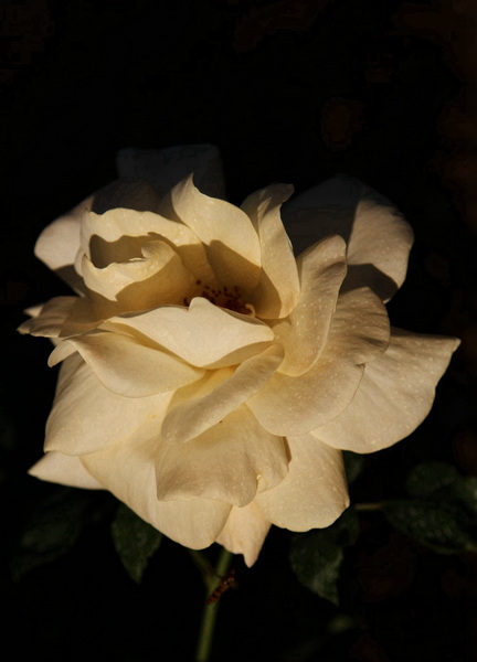 YBL_8214.jpg