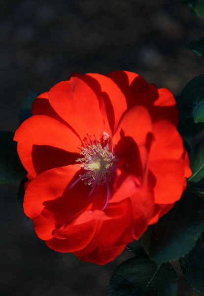 YBL_8223.jpg