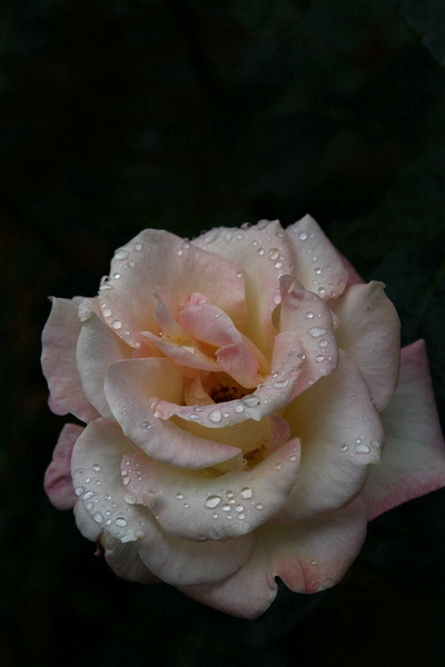 照片 1551.jpg