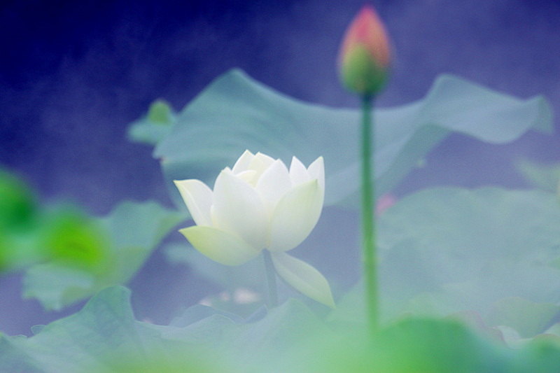 IMG_6310_副本.jpg