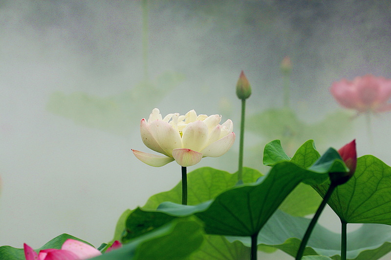 IMG_6313_副本.jpg