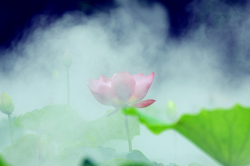 IMG_6315_副本.jpg