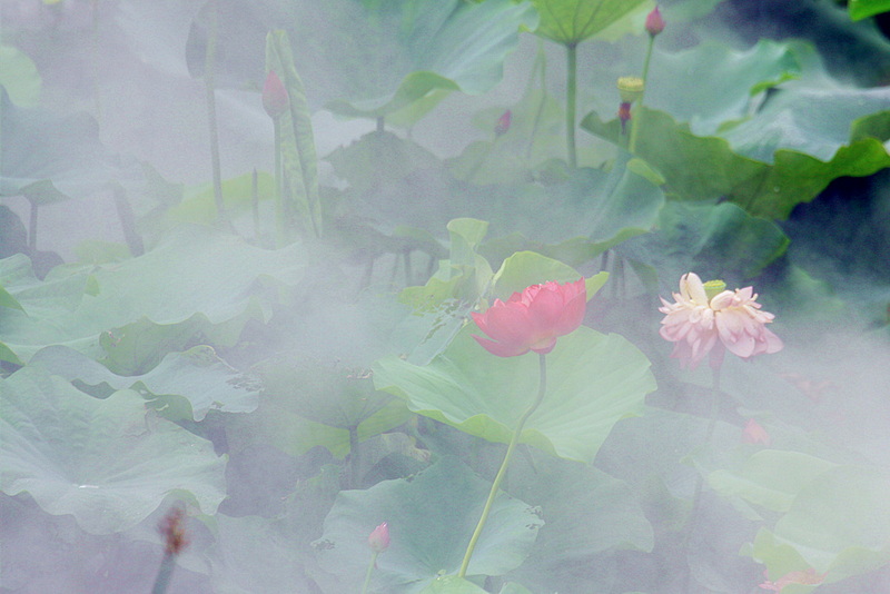 IMG_6322_副本.jpg
