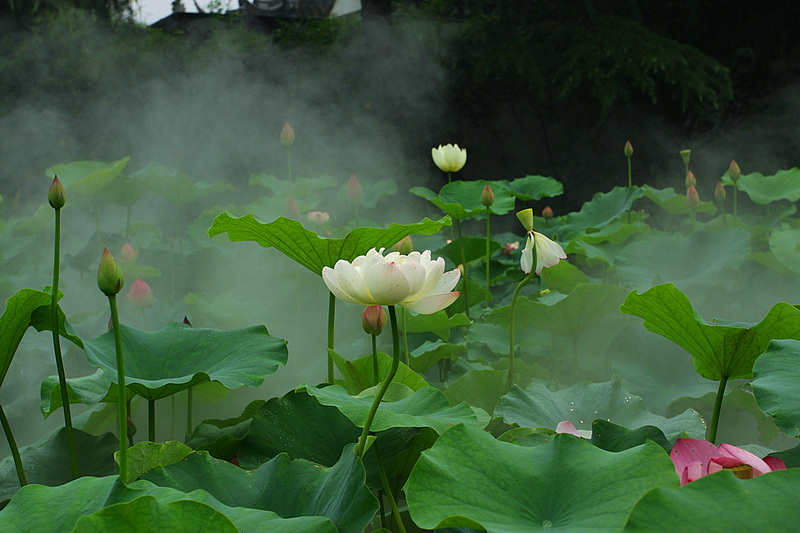 IMG_6394_副本.jpg