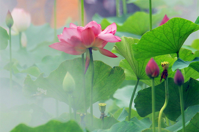 IMG_6448_副本.jpg