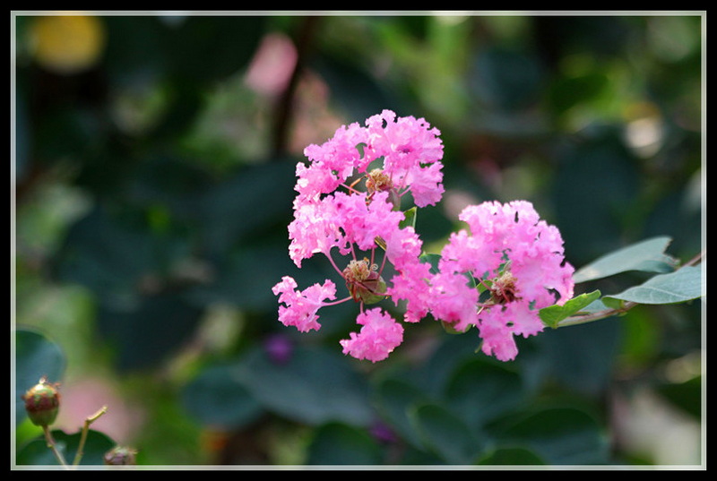 IMG_4660_副本_副本.jpg