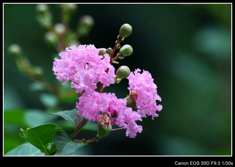 img_4614_副本_conew1_副本.jpg