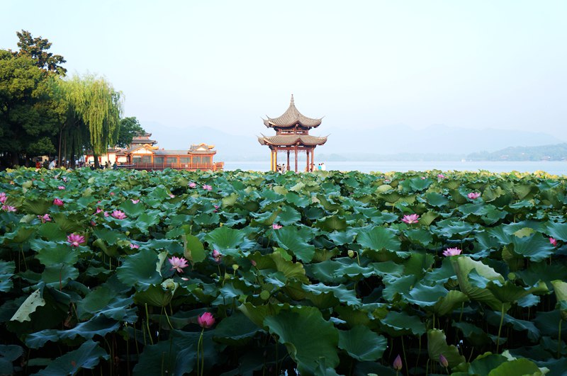 DSC08008_副本.jpg