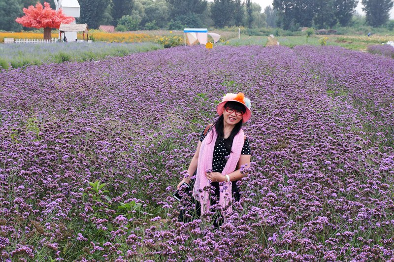 DSC08219_副本.jpg
