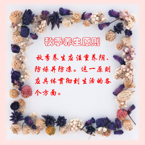 b_vip_A58BBF59325024E663B90B6E682A4CC6.jpg