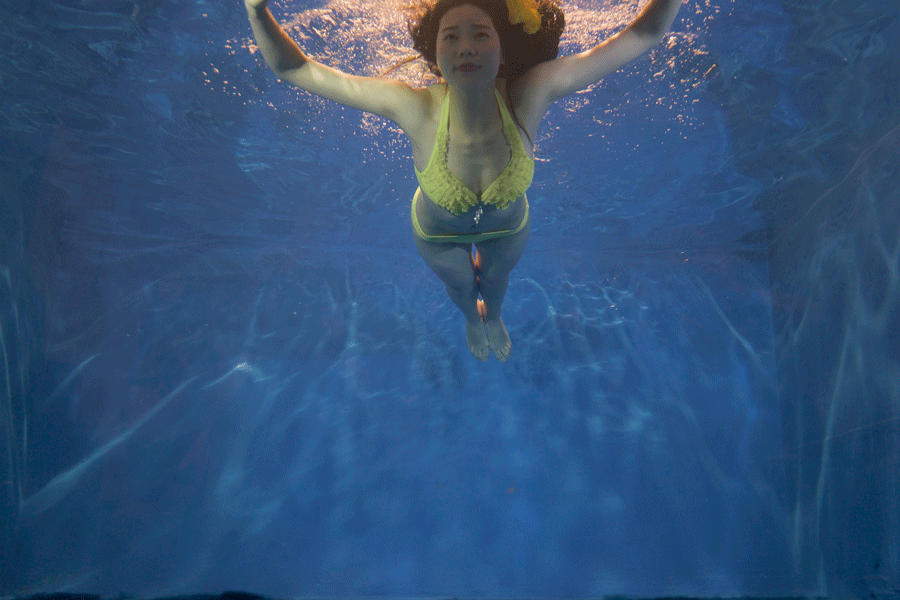 DSC02764.gif