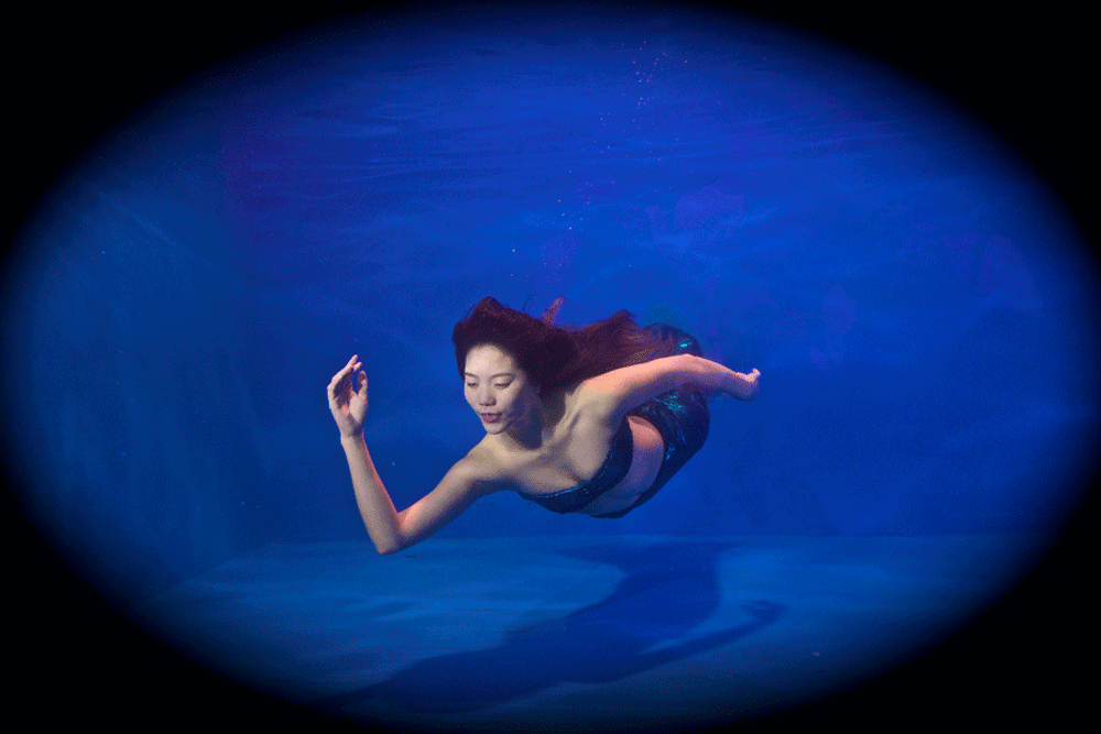 DSC02944.gif