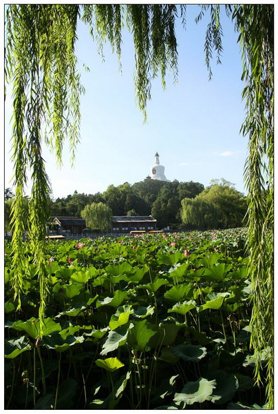 IMG_7523_副本.jpg