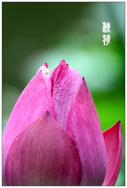 img_4784_副本.jpg