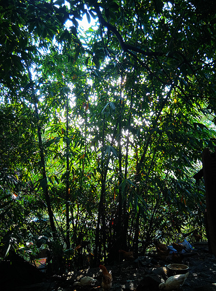 IMG_20140822_073546_副本.jpg