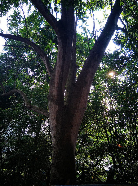 IMG_20140822_073522_副本_副本_副本.jpg