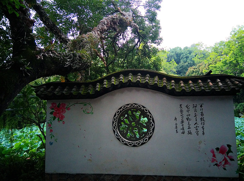 IMG_20140816_072023_副本.jpg