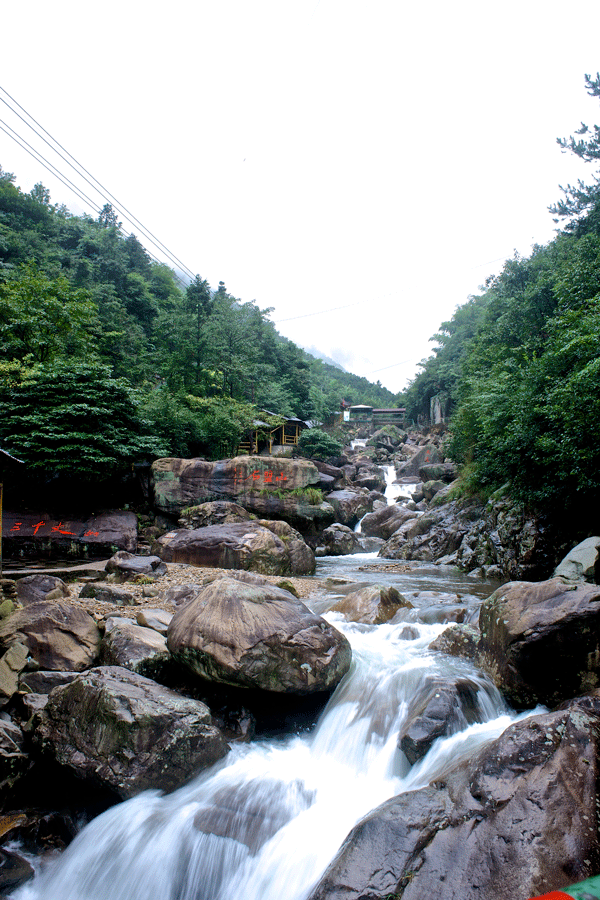 DSC07028.gif