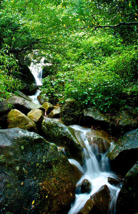 DSC07043.gif