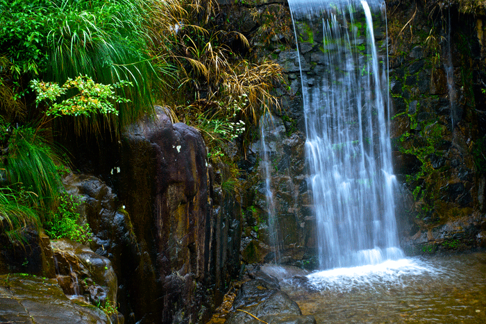 DSC07013.gif