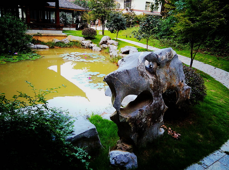 IMG_20140912_171808_副本.jpg