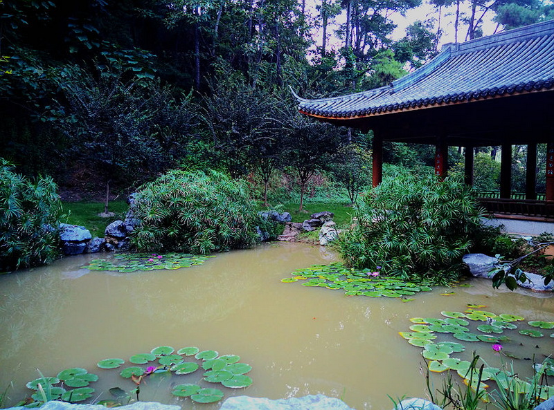 IMG_20140912_171656_副本.jpg