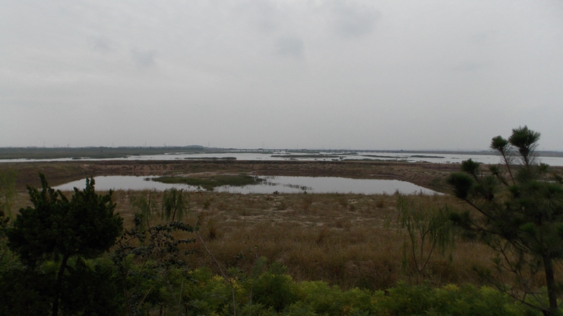 DSCN1850大沽河204国道南段正阳西路北段-南面远处是正阳西路大沽河大桥.JPG