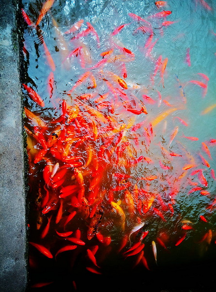 照片 178_副本.jpg