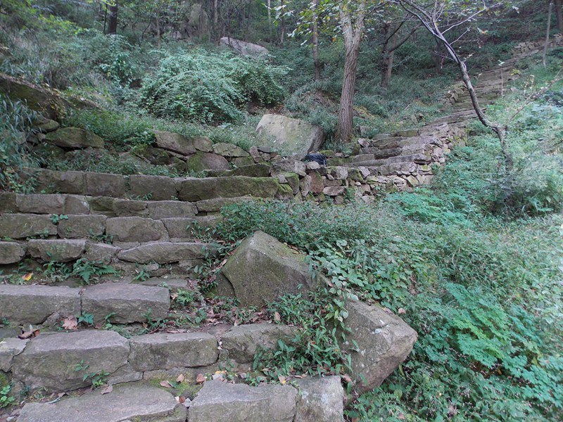 DSCN1947冷翠峡山路.JPG