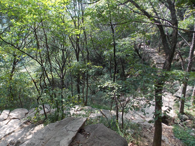 DSCN1992蔚竹观山路.JPG