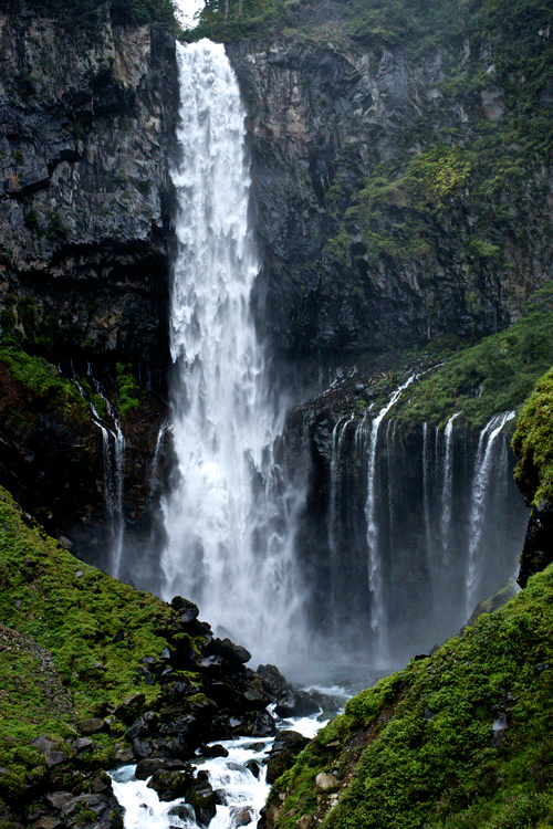 DSC08432.gif