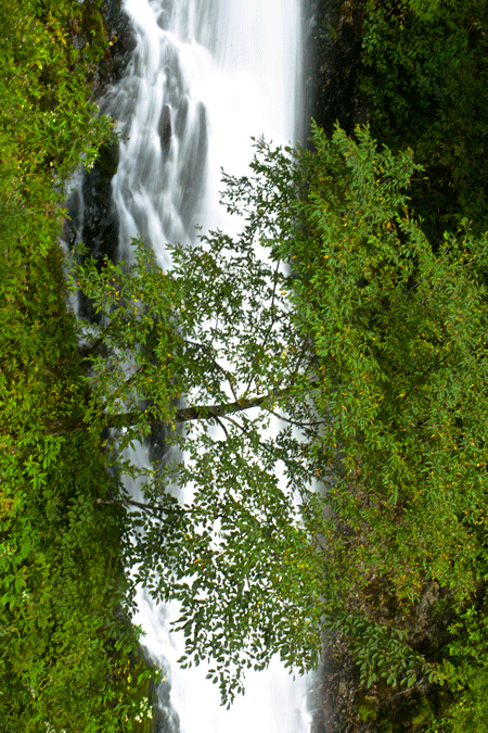 DSC08424.gif