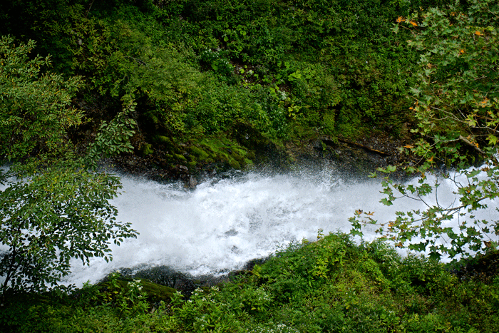 DSC08428.gif