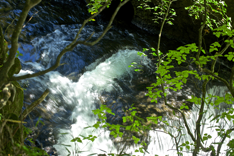 DSC08370.gif