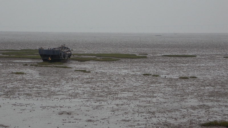 DSCN2087大沽河入海口 滩涂 远处隐约可见胶州湾海湾大桥.JPG
