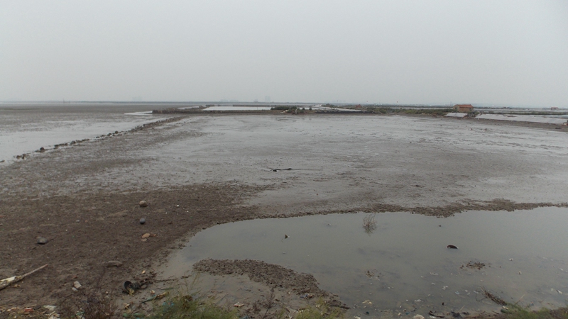 DSCN2092大沽河入海口.JPG