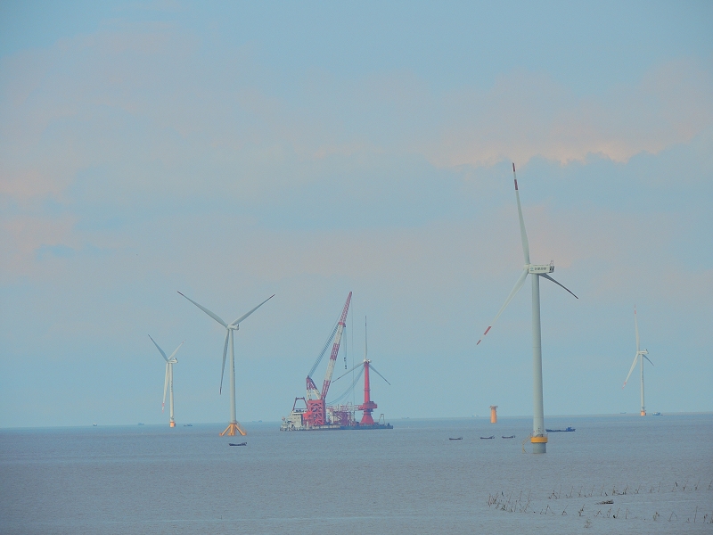 DSCN6383.jpg
