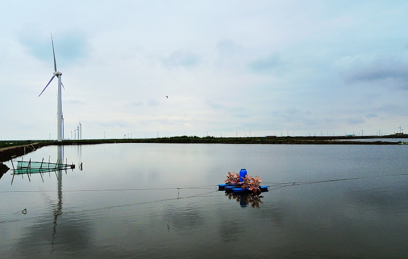DSCN6220.jpg