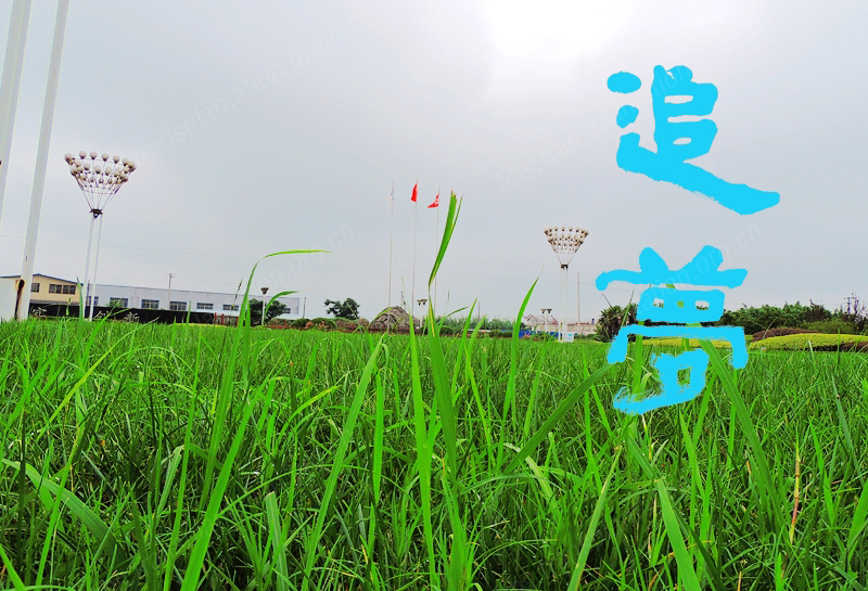 DSCN6090.jpg