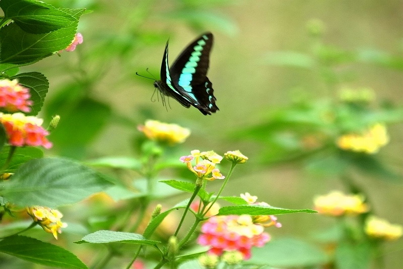 IMG_8377_副本.jpg