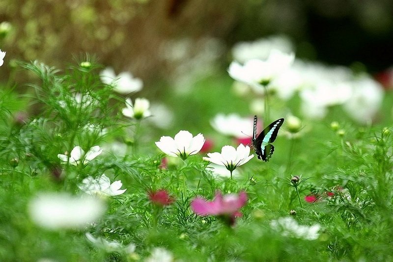 IMG_8683_副本.jpg