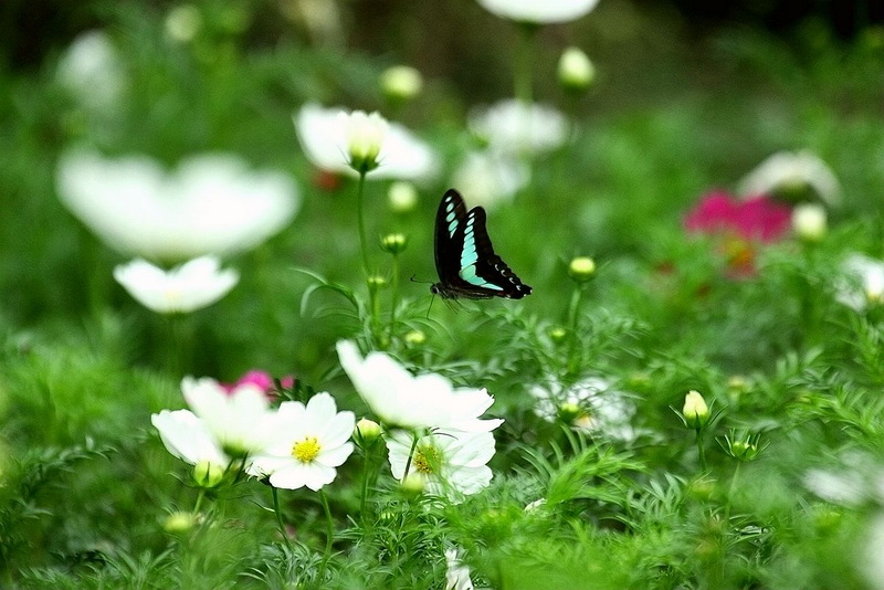 IMG_8742_副本.jpg