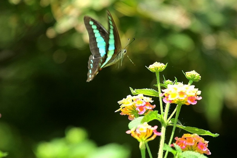 IMG_8982_副本.jpg