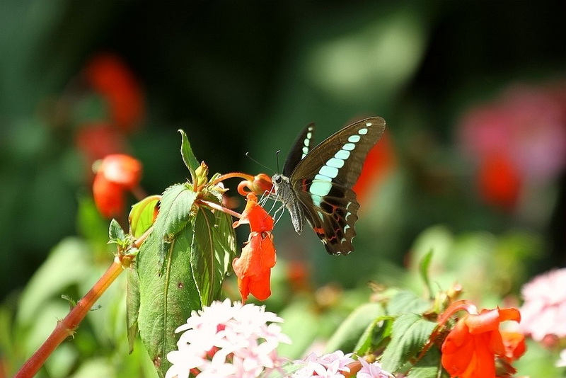 IMG_9106_副本.jpg