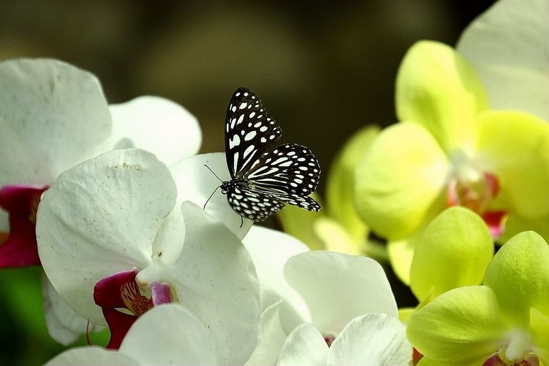 IMG_9354_副本.jpg