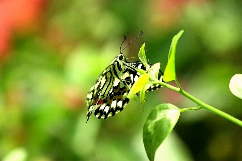 IMG_9373_副本.jpg