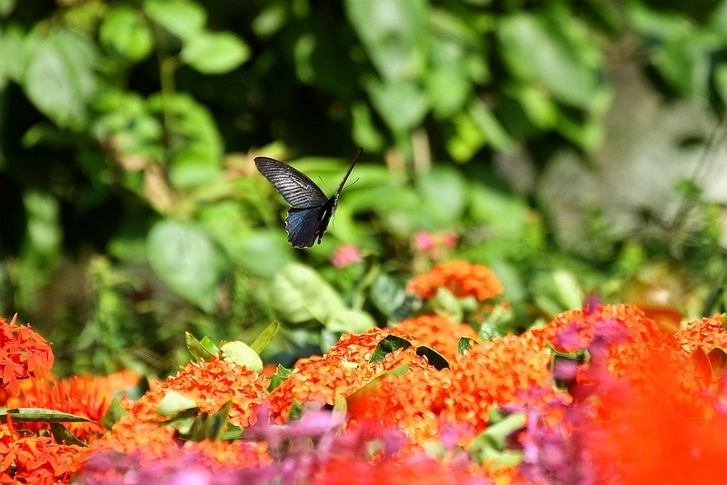 IMG_9586_副本.jpg