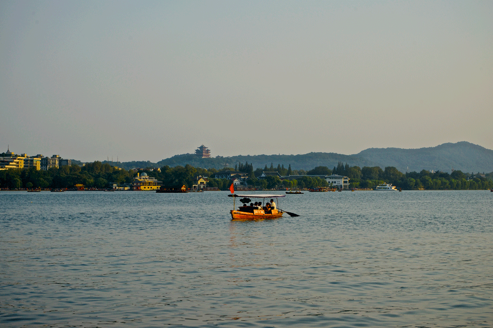 DSC08887.gif