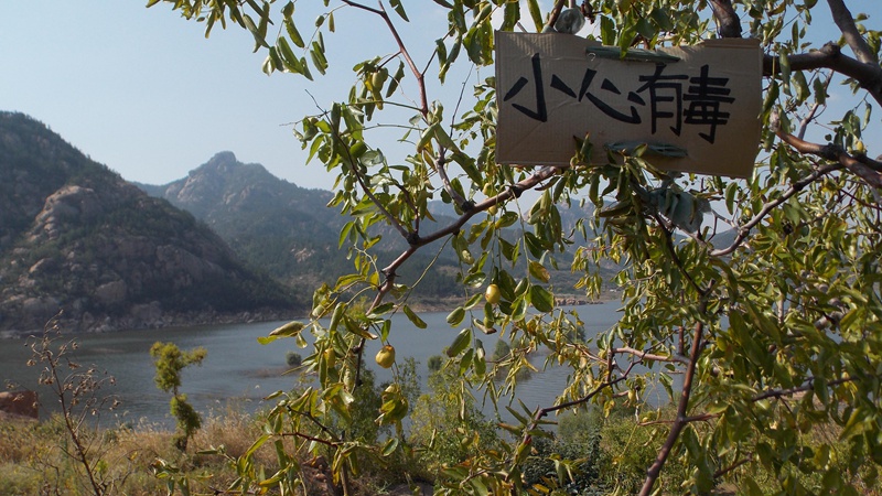 DSCN2134崂山水库小心有毒.JPG