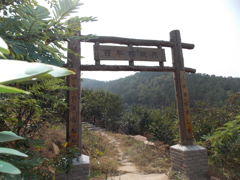 DSCN2268超然景区百年樱桃苑第二山门.JPG